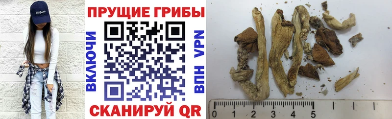 hydra ONION Когалым Галлюциногенные грибы Cubensis